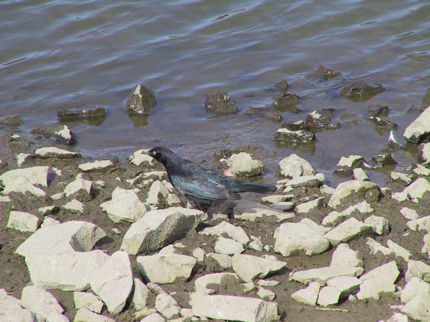 img_2684.jpg (1856 x 1392)