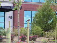 img_2657.jpg (1856 x 1392)