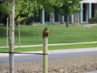 img_2659.jpg (1856 x 1392)