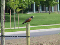 img_2660.jpg (1856 x 1392)