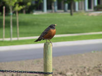 img_2661.jpg (1856 x 1392)
