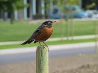 img_2662.jpg (1856 x 1392)