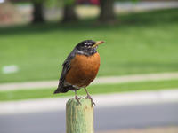 img_2663.jpg (1856 x 1392)