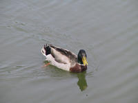 img_2667.jpg (1856 x 1392)