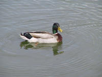 img_2668.jpg (1856 x 1392)
