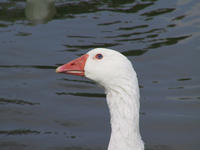 img_2670.jpg (1856 x 1392)