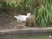 img_2672.jpg (1856 x 1392)