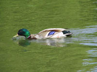 img_2674.jpg (1856 x 1392)