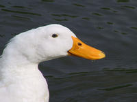 img_2675.jpg (1856 x 1392)