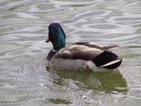 img_2676.jpg (1856 x 1392)