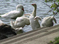 img_2677.jpg (1856 x 1392)