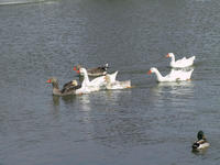 img_2681.jpg (1856 x 1392)