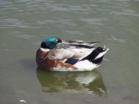 img_2682.jpg (1856 x 1392)