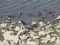 img_2684.jpg (1856 x 1392)