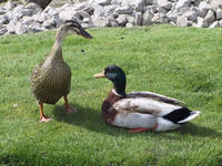 img_2685.jpg (1856 x 1392)