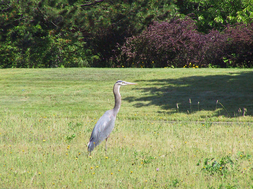 img_2704.jpg (1856 x 1392)