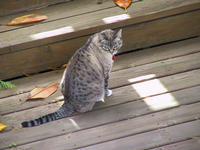 img_2695.jpg (1856 x 1392)