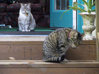 img_2698.jpg (1856 x 1392)