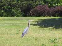 img_2704.jpg (1856 x 1392)