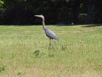 img_2706.jpg (1856 x 1392)
