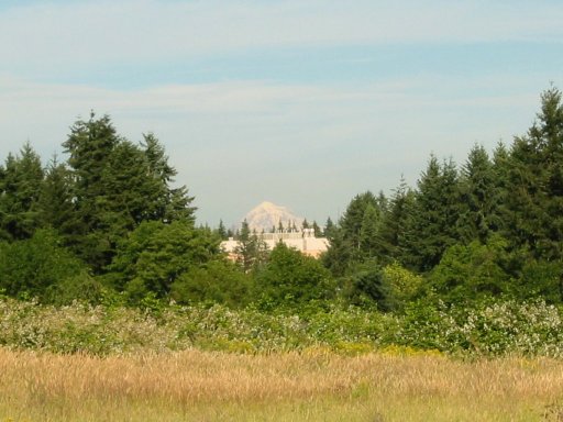 [Location 33 looking east]