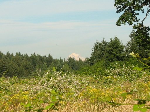 [Location 34 looking east]