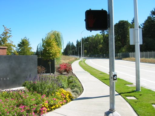 [NW Wilkins St & NW 206th Ave looking east]