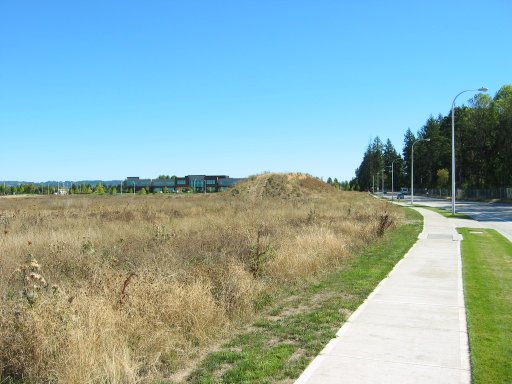[Location 44 looking east]