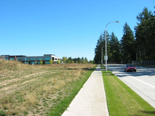 [Location 45 looking east]