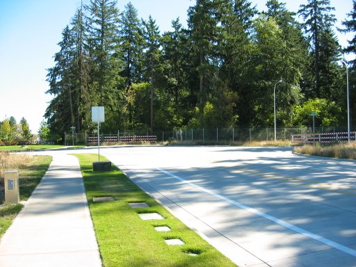 [Location 46 looking east]