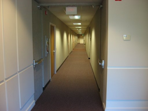 [Location 59 looking east]