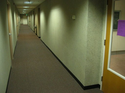 [Location 61 looking east]