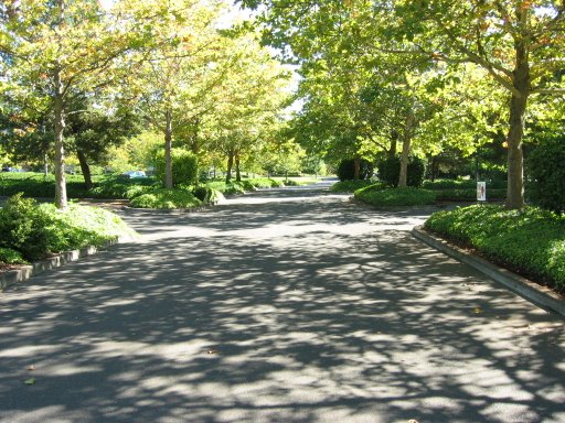 [Location 70 looking east]