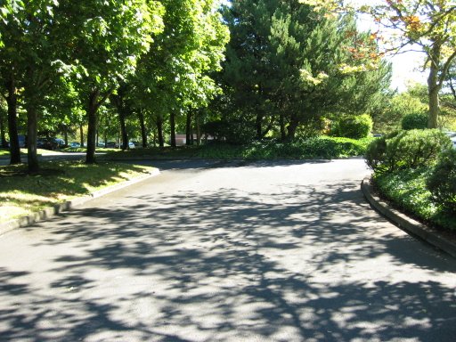 [Location 72 looking east]