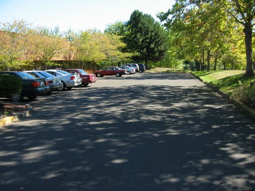 [Location 73 looking east]