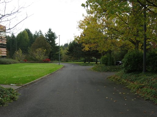 [Location 87 looking east]