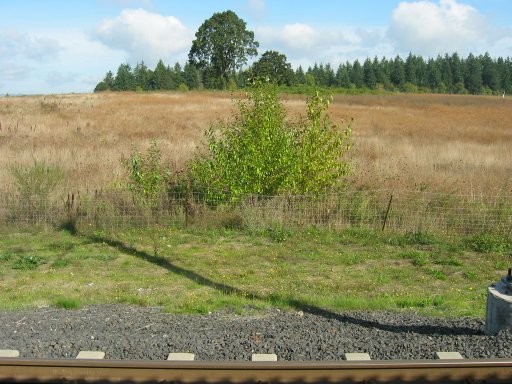 [Quatama/NW 205th Ave MAX Station looking north]