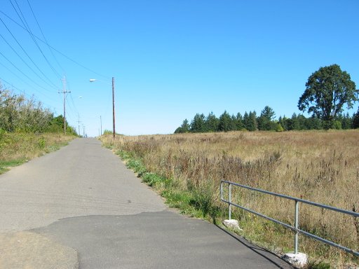 [Location 33 looking north]