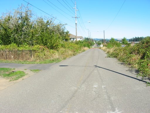 [Location 34 looking north]