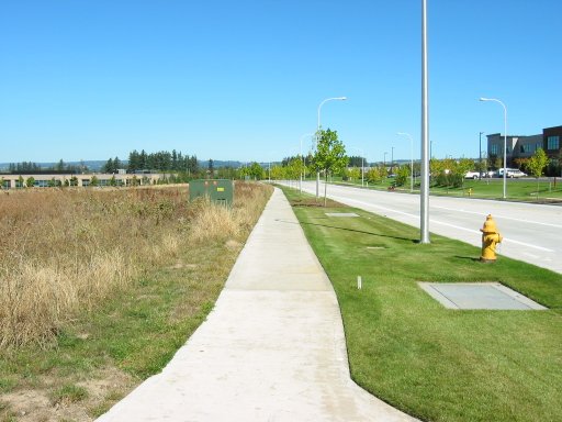 [Location 47 looking north]
