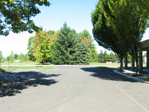 [Location 52 looking north]