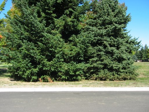 [Location 67 looking north]