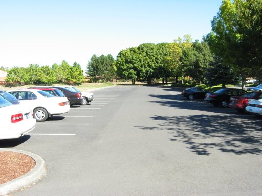 [Location 69 looking north]
