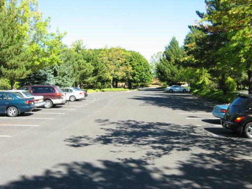 [Location 70 looking north]