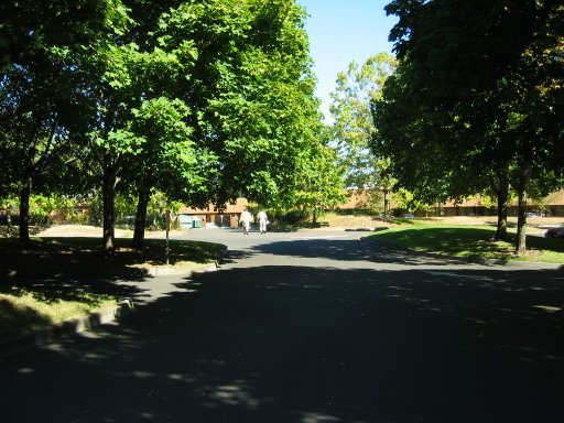 [Location 71 looking north]