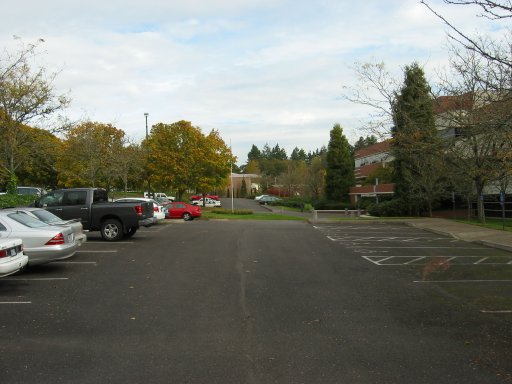 [Location 87 looking north]
