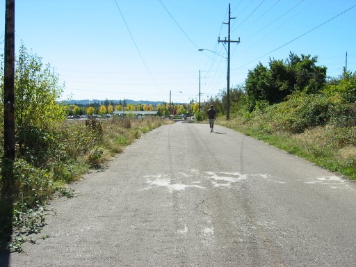 [Location 34 looking south]