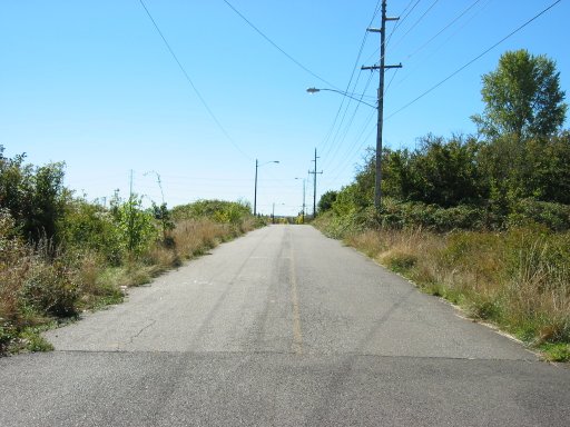 [Location 35 looking south]