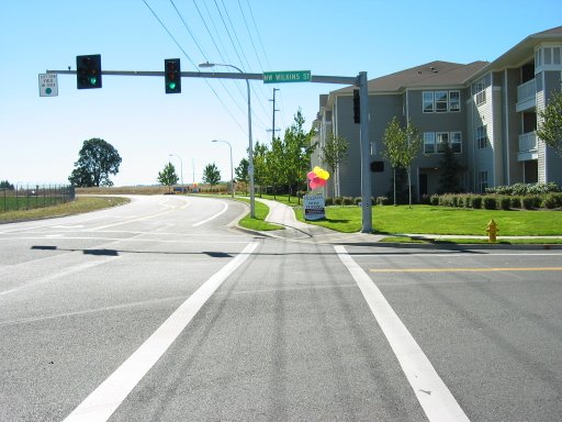 [NW Wilkins St & NW 206th Ave looking south]
