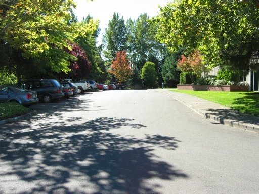 [Location 69 looking south]